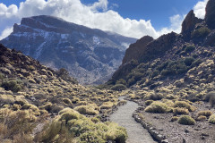 Sendero Roques de García, Tenerife 77