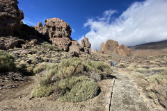 Sendero Roques de García, Tenerife 81