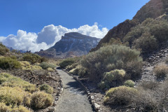 Sendero Roques de García, Tenerife 86