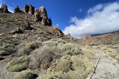 Sendero Roques de García, Tenerife 89