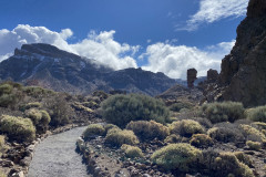 Sendero Roques de García, Tenerife 93