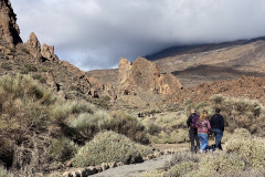 Sendero Roques de García, Tenerife 95