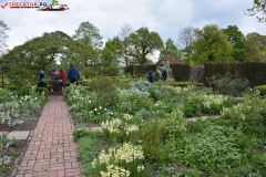 Sissinghurst Castle Garden Anglia 072