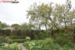 Sissinghurst Castle Garden Anglia 076