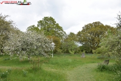 Sissinghurst Castle Garden Anglia 091