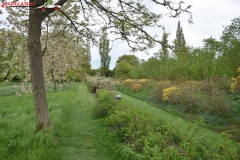 Sissinghurst Castle Garden Anglia 100