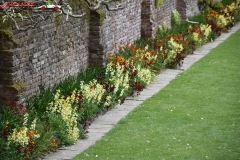 Sissinghurst Castle Garden Anglia 102