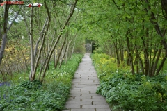 Sissinghurst Castle Garden Anglia 107