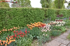 Sissinghurst Castle Garden Anglia 110