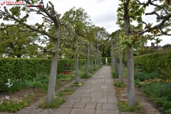 Sissinghurst Castle Garden Anglia 118