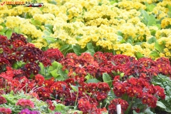 Sissinghurst Castle Garden Anglia 144