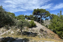 Situl arheologic din Aliki Thassos 75
