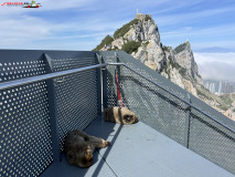 Skywalk Gibraltar 14
