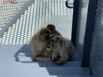 Skywalk Gibraltar 15