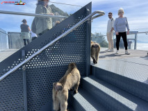 Skywalk Gibraltar 18