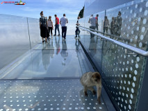 Skywalk Gibraltar 21