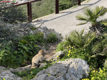 Skywalk Gibraltar 24