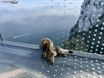 Skywalk Gibraltar 30