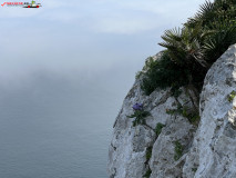 Skywalk Gibraltar 43