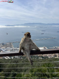 Skywalk Gibraltar 48