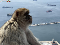 Skywalk Gibraltar 51