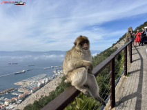 Skywalk Gibraltar 52