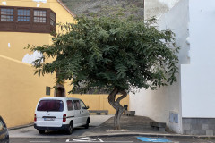 Statiunea Garachico, Tenerife 28