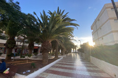 Los Cristianos, Tenerife 05