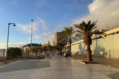 Los Cristianos, Tenerife 13
