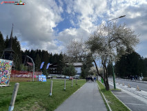 Statiunea Poiana Brasov mai 2023 27