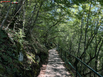 Stopića Pećina, Serbia 94