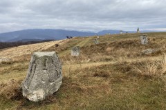 Tabăra de sculptură de la Năieni 24