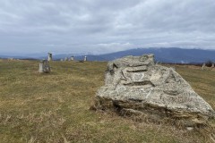 Tabăra de sculptură de la Năieni 34