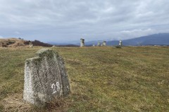 Tabăra de sculptură de la Năieni 36