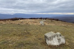 Tabăra de sculptură de la Năieni 40