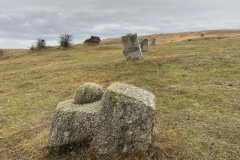 Tabăra de sculptură de la Năieni 41