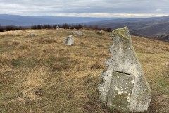 Tabăra de sculptură de la Năieni 42