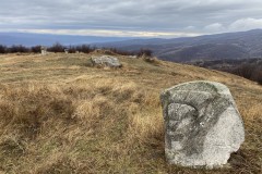 Tabăra de sculptură de la Năieni 43