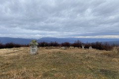 Tabăra de sculptură de la Năieni 47