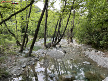 The Bath of Zeus, Cheile Enipeas, Grecia 69