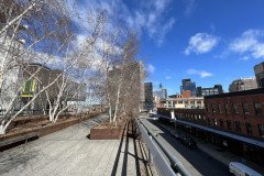 The High Line, New York 23