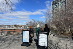 The High Line, New York 26