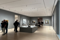 The Museum of Modern Art, New York 118