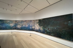 The Museum of Modern Art, New York 167