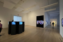 The Museum of Modern Art, New York 184