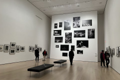 The Museum of Modern Art, New York 200