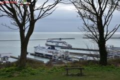 The White Cliffs of Dover 014