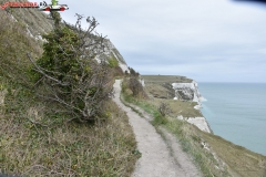 The White Cliffs of Dover 046