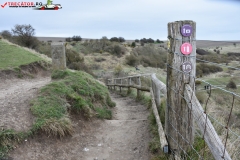 The White Cliffs of Dover 068