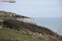 The White Cliffs of Dover 072